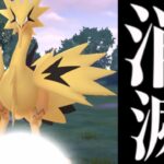 【全トレーナー必見⚠️】コレをすると色違いガラル三鳥は消えます。【ポケモンＧＯ・おさんぽおこう・Pokemon GO・shiny galarian birds】