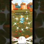 色違いハロウィンポッチャマだけはゲットしたい◓⃙⁣ #ポケモンgo #色違いポケモン #ポッチャマ