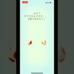 ポケモンgo 12キロタマゴ5キロタマゴ孵化　たまご5連ガチャ　#pokemongo #egg