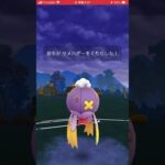 モルペコかわいすぎる#ポケモンgo #ポケモン #pokemongo #ハロウィン#ハロウィンイベント #ハロウィンカップ