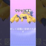 サクッと捕獲 #ポケモンgo #ポケモン #pokemongo #pokemon #shortvideo #shorts #insect