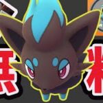 【神速報】あの激レアの色違い確率アップ！更に新ポケモン無料チャンス【最新ハロウィン情報】