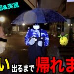 【冬の始まり】ミニーブ色違い実装！色違い出るまで帰れま10【ポケモンGO】