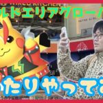 【ポケモンGO】ワイルドエリアグローバルはまったりプレイ！でも”ノー忖度”でナイアンティックにはしっかり物申す!?