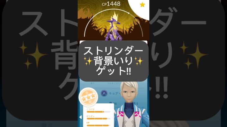 【ポケモンGO】ワイルドエリア: グローバル結果発表! 1日目「✨色違いゲット&高個体大量ゲット!?✨」【ポケモンGO】【Pokémon GO Wild Area: Global】