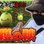 【ポケモンGO】ヤバくね・・・？カメラが捉えた決定的瞬間！！アカウントによる「違い」は確かに実在した！？色違いミニーブを狙う収穫祭の前日確認！！【マックスバトルの闇】