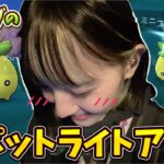 新実装色違い出るか⁉️ミニーブの色違い狙ってスポットライトアワーに参加！【ポケモンGO】