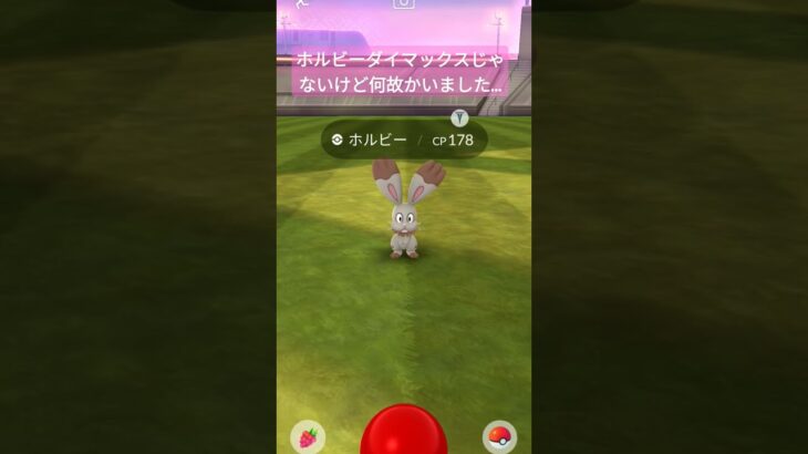 #ポケモンGO　#フレンドさんへ　#ギフト　#風邪　#ホルビー　#ダイマックス