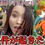 【大事件】福岡ワイルドエリア当日！舞鶴公園！サファリボールの力、ご覧下さい。【ポケモンGO】