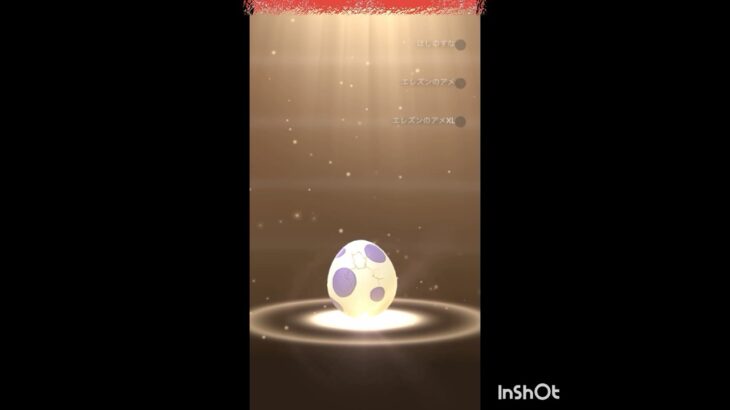 【ポケモンGO】10キロ🥚割り15連▶️▶️▶️