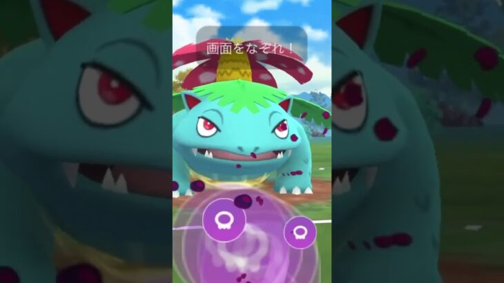 【ポケモンGOバトル#459】これで連勝記録伸ばしました✨さあ今すぐ上の🐸マークをタップして👍&チャンネル登録しよう！！ココチAチャンネルオリジナルポケモンGOバトル動画がいつでもどこでも見放題だ