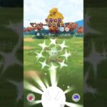 マンキーのコミュニティデイ！色違いもシャドウも！ポケモンGO！Pokemon GO！