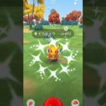 【ポケモンGO】色違いハードロックピカチュウキターー‼️#ポケモンgo #pokemongo #色違い