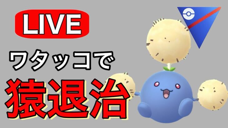 話題のポケモンはメタる方が勝てる！ Live #1162【スーパーリーグ】【GOバトルリーグ】【ポケモンGO】