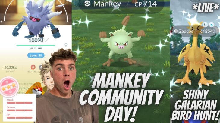 ✨ Mankey Community Day in Pokemon Go And Let’s Get Another Shiny Galarian Bird LIVE!✨