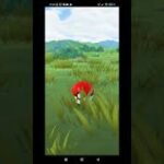 ポケモンgo