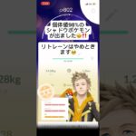 ポケモンgo 個体値MAX シャドウポケモン　ロケット団