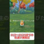 これが無課金勢の意地じゃ#ポケモンgo #pokemon