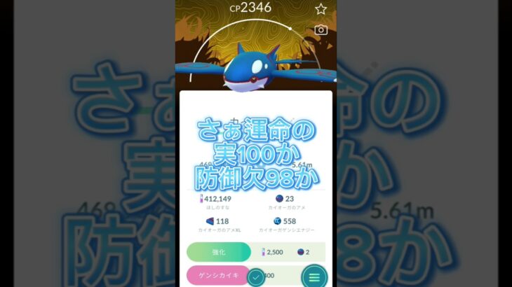 カイオーガ高個体きた？！その結果は…#ポケモンgo #pokemon