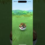 【ポケモンgo】ワイルドエリア野生色違いマッギョ #pokemon #ポケモン #ポケモンgo