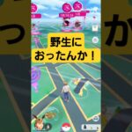 ほぇー知らんかった#ポケモン #ポケモンgo #pokemon #pokemongo #バクフーン #野生#珍しい #アイテム  #はいよろこんで #メビシガくん #笑える #おもしろ #逃げる #