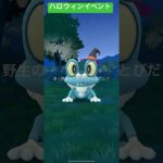 ハロウィンケロマツ！めっちゃ可愛い！#ポケモン #ポケモンgo #pokemon #pokemongo