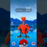 2024.12.20ポケモンGOガラルサンダーに出会えたよ。#ポケモンgo #ガラルサンダー#ポケモン