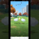 仕事で30分しか出来ず🥲　ポケモンGO　昇龍リサーチデイ　2024/12/07　　　色違い4  個体値100が1体でした