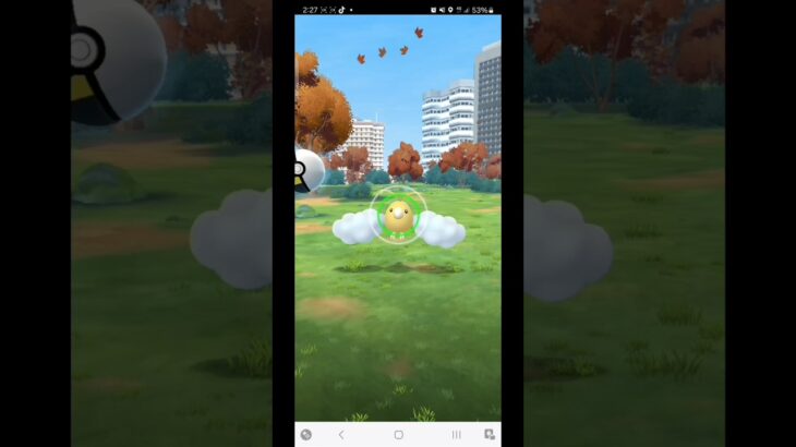 仕事で30分しか出来ず🥲　ポケモンGO　昇龍リサーチデイ　2024/12/07　　　色違い4  個体値100が1体でした