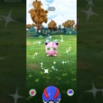 【ポケモンGO】 プリン（色違い・リボン付き） 捕獲動画！！