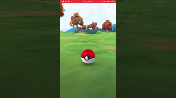 ポケモンGOで、コリンクの色違い✨が出た   やったーー嬉しい