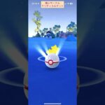 【難易度中】ホリデーデデンネ極小サークルクリティカルゲット【ポケモンGO】