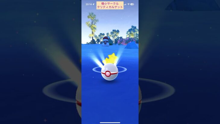 【難易度中】ホリデーデデンネ極小サークルクリティカルゲット【ポケモンGO】