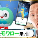 スペシャル背景モクロー達よ！！頼むから色違いでこいこいこいこい！！！！！！【ポケモンGO】