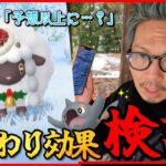 【ポケモンGO】本当なのか・・・それとも・・・！？特別な「おこう」を検証せよ！！色違いアルクジラ＆ホリデーお衣装ウールーを狙い散らせ！！【年末ホリデーパート２】