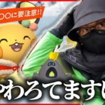 【ポケモンGO】勝敗を分けるのは〇〇〇！？色違いサンタコスデデンネ＆スナバァを狙え！！年末ホリデーパート１前日確認を見逃すな！！【色違い図鑑】