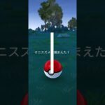 ポケモンGOでオニスズメを捕獲するシーン！ #pokemon #ポケモン #ポケモンgo #ゲーム　