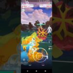 ポケモンGOファンタジーカップ対戦マリルリ＆メレシー＆エルフーン全5戦③