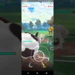 ポケモンGOスーパーカップ対戦⚔️バイウールー＆オーダイル＆ネンドール全5戦③