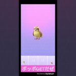 ポケモンGO実況🕊️ポッポGETだぜ😀ポッポに勝負を挑んでみた⚡️ #ポケモンgo #shorts #ショート