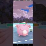 ホリデーカップ【ポケモンGO】Sカイリュー、ピカチュウ、ラッキー※リトルバージョン