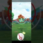 【ポケモンGO】おーまじか！！#ポケモンgo