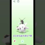 『ポケモンGO』#pokemongo #pokemonworldchampionships #ポケモンwcs2023 #pokemoncards #レイドバトル #リモートレイドバトル #goバトル