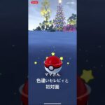 ポケモンGo  色違いセレビィ　ママさん初対面