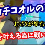 ホリデーカップリトル！このPTで勝てる方法ありますかぁ？【ポケモンGO】