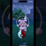 Pokemon GO – gintotski Catching a 1 Star Granbull