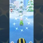 [PokemonGO] コミュデイ2024 ちっちゃい色違いタツベイ ゲット #ポケモンgo