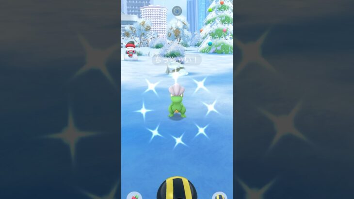 [PokemonGO] コミュデイ2024 ちっちゃい色違いタツベイ ゲット #ポケモンgo