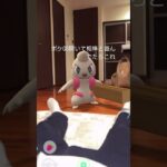 ▶急所に 当たった！ #Shorts #TikTok #Pokemon #おすすめ #ポケモン #ポケモンgo #ペット #犬 #犬のいる暮らし #おもしろ #面白い #バズれ #爆笑 #おもしろ動画