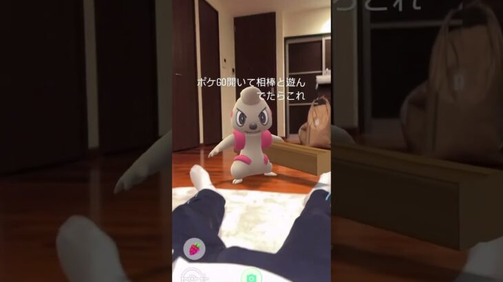 ▶急所に 当たった！ #Shorts #TikTok #Pokemon #おすすめ #ポケモン #ポケモンgo #ペット #犬 #犬のいる暮らし #おもしろ #面白い #バズれ #爆笑 #おもしろ動画